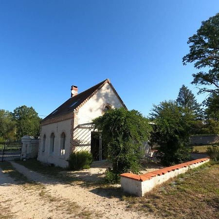 Chateau Des Nouies Villa Selles-sur-Cher Luaran gambar