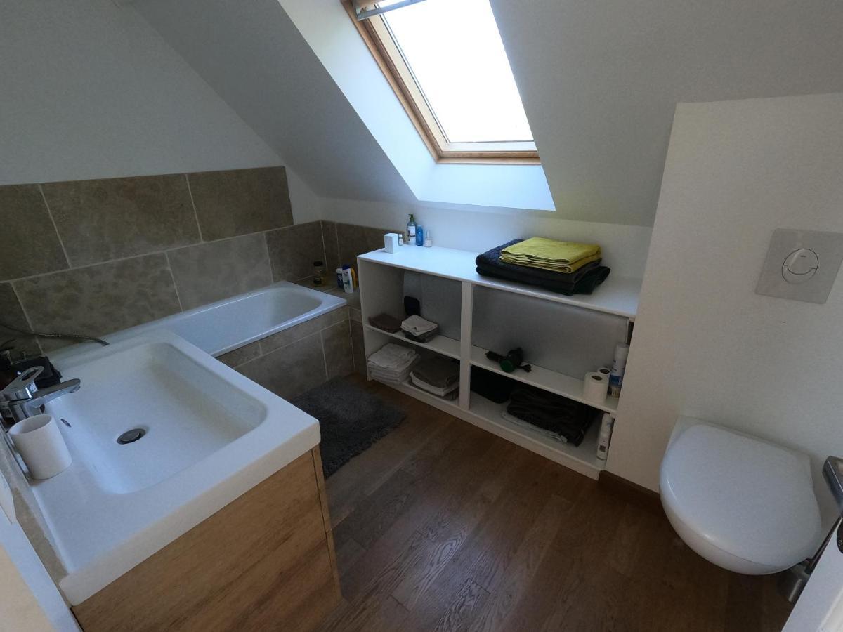 Chateau Des Nouies Villa Selles-sur-Cher Luaran gambar